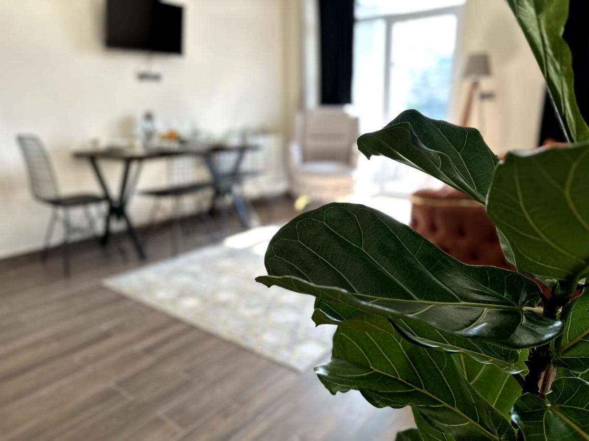 נבשהיר The Suit Residence Daire מראה חיצוני תמונה